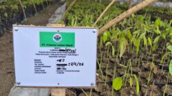 Dugaan Mark Up Proyek Benih Kakao di Boalemo, KNPI Wonosari Angkat Suara