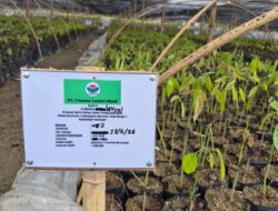 Dugaan Mark Up Proyek Benih Kakao di Boalemo, KNPI Wonosari Angkat Suara